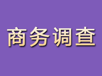 霸州商务调查